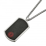Alpine Stainless Steel Pendant w/ Chain