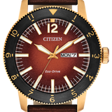 Citizen Vintage Brycen Watch