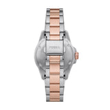 Fossil Blue Dive Three-Hand Two-Tone Stainless Steel Watch ES5348