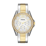 Fossil Riley Multifunction Watch