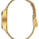 Medium Timer Teller All Gold