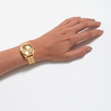 Medium Timer Teller All Gold