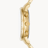 Neutra Chronograph Gold-Tone Stainless Steel Watch