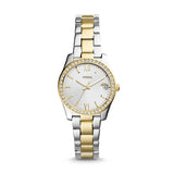 Scarlette Mini Three-Hand Date Two-Tone Stainless Steel Watch