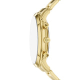Neutra Chronograph Gold-Tone Stainless Steel Watch FS6164