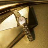 Rainell Eco Drive Watch EX1552-59A