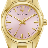 Surveyor Watch 97L187