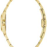 Surveyor Watch 97L187