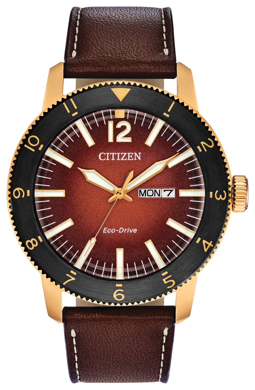 Citizen Vintage Brycen Watch