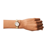 Carlie Three-Hand Watch & Card Case Box Set